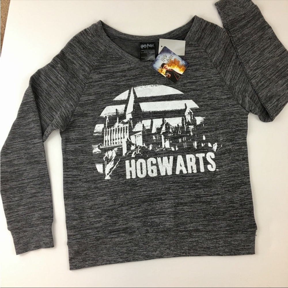 Harry Potter Hogwarts/Disney Castle Mashup Sweatshirt